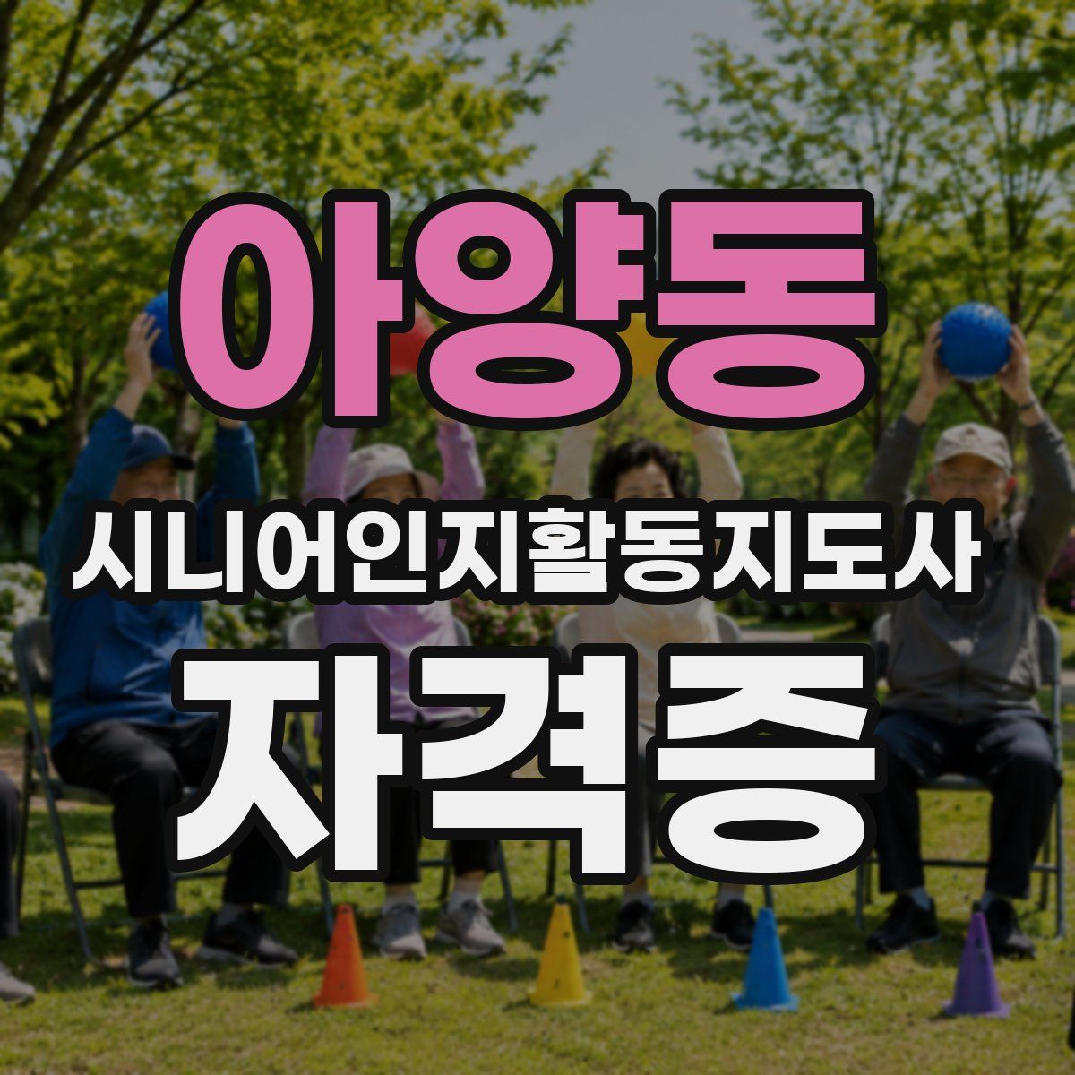 아양동 시니어인지활동지도사 자격증