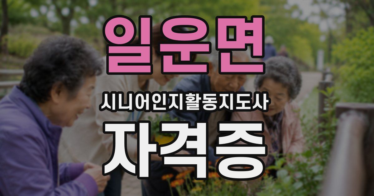 일운면 시니어인지활동지도사 자격증