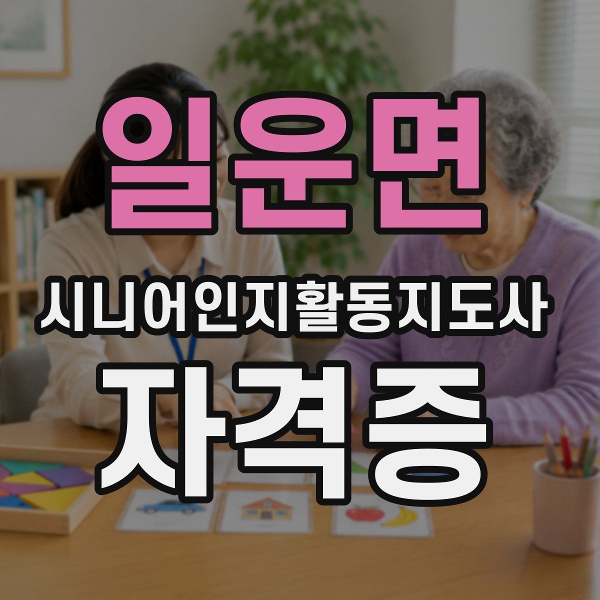 일운면 시니어인지활동지도사 자격증