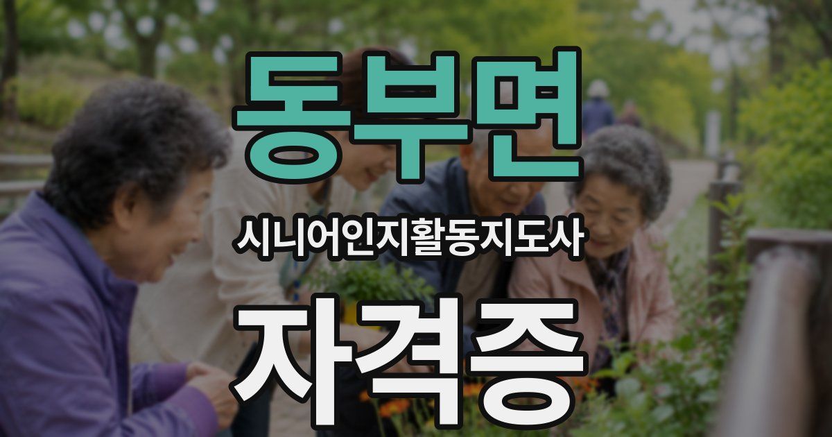 동부면 시니어인지활동지도사 자격증
