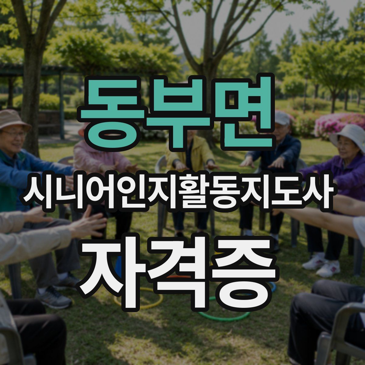 동부면 시니어인지활동지도사 자격증
