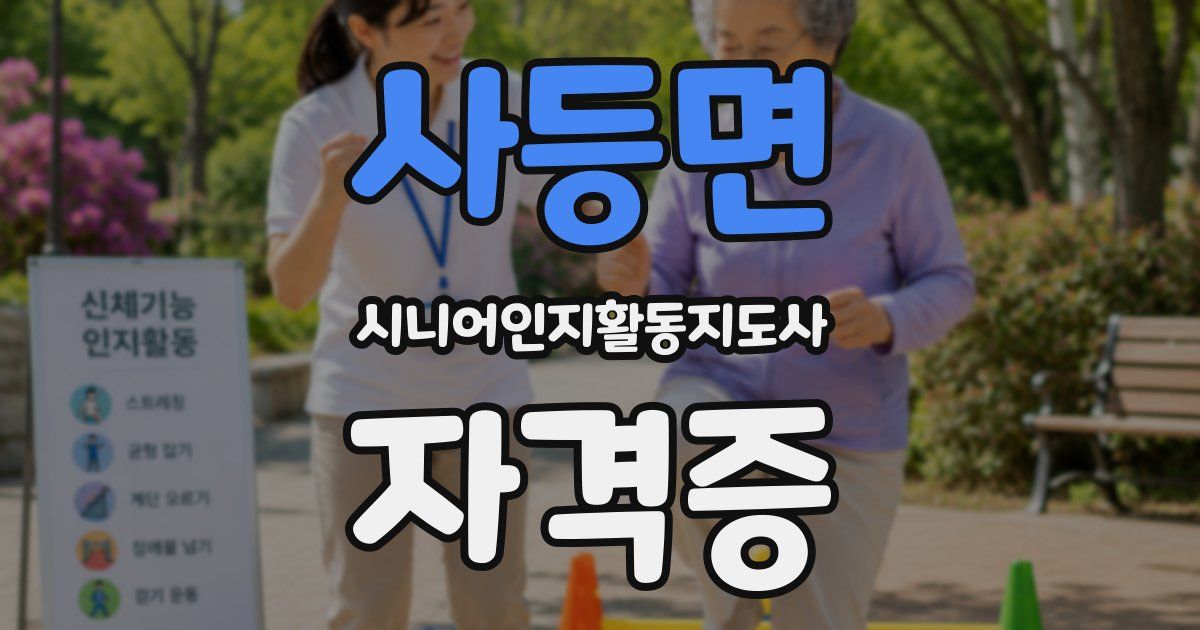 사등면 시니어인지활동지도사 자격증