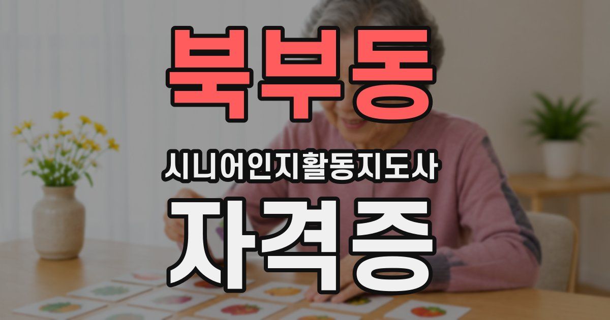 북부동 시니어인지활동지도사 자격증