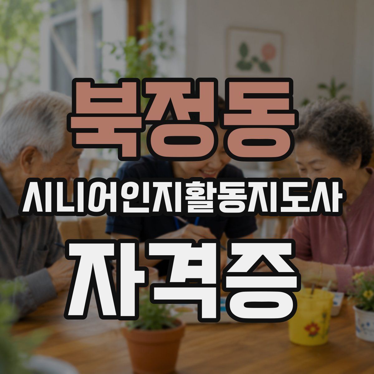 북정동 시니어인지활동지도사 자격증