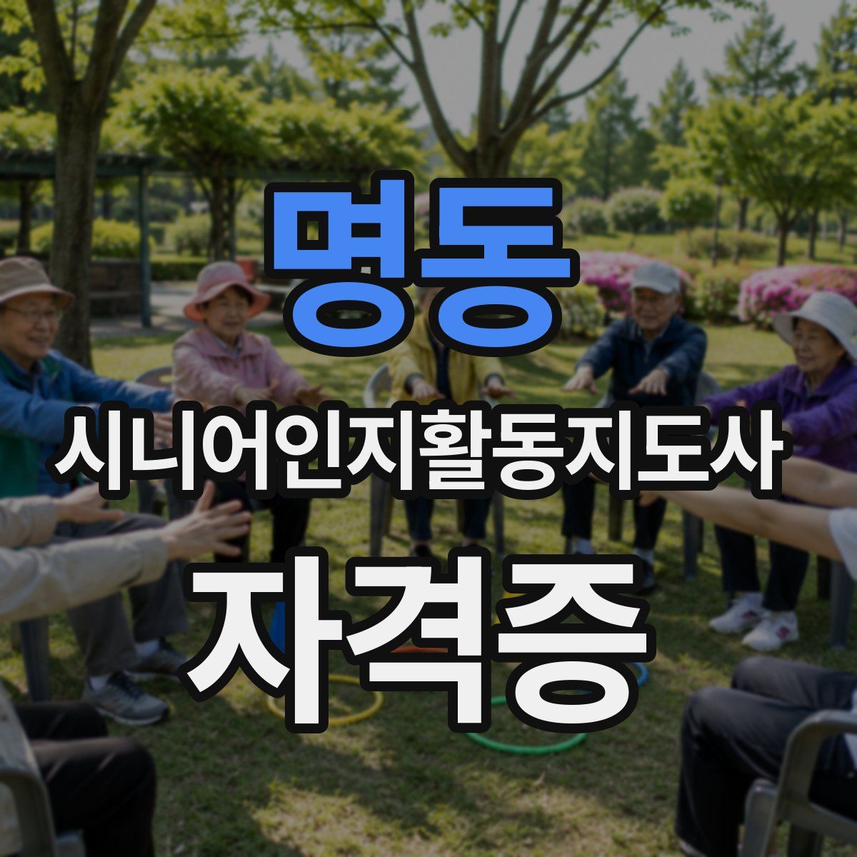 명동 시니어인지활동지도사 자격증
