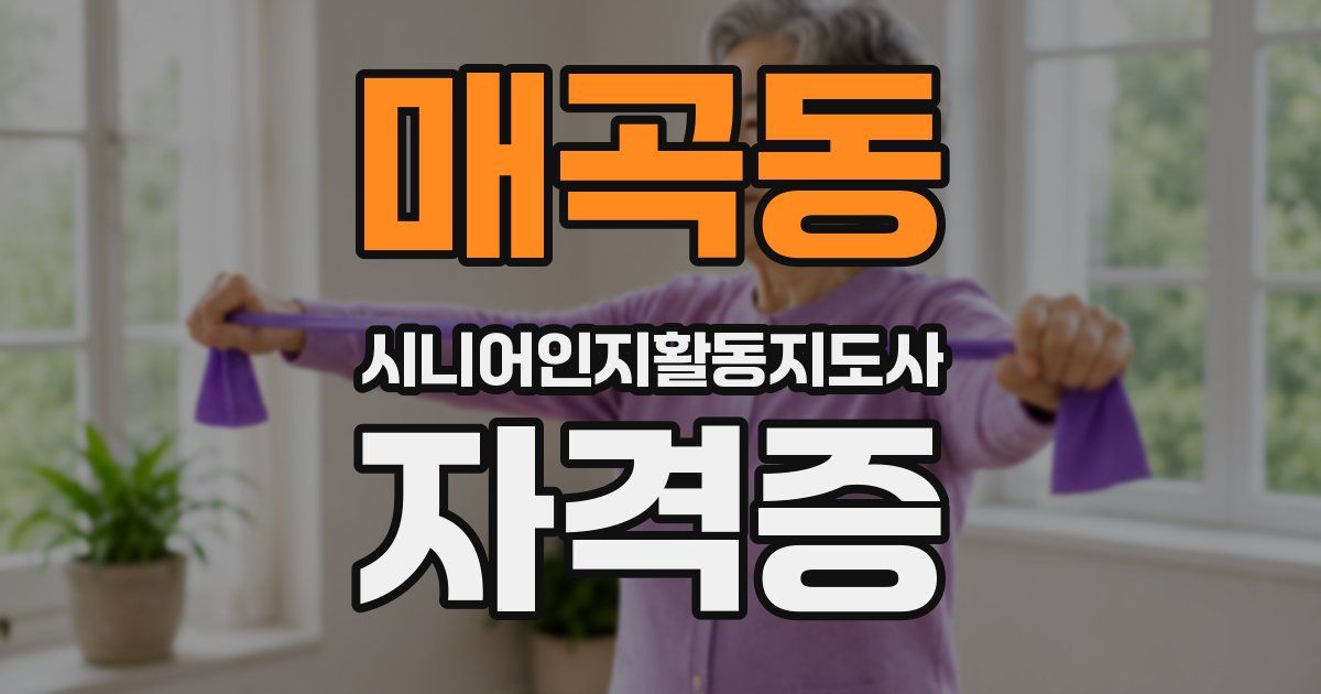 매곡동 시니어인지활동지도사 자격증