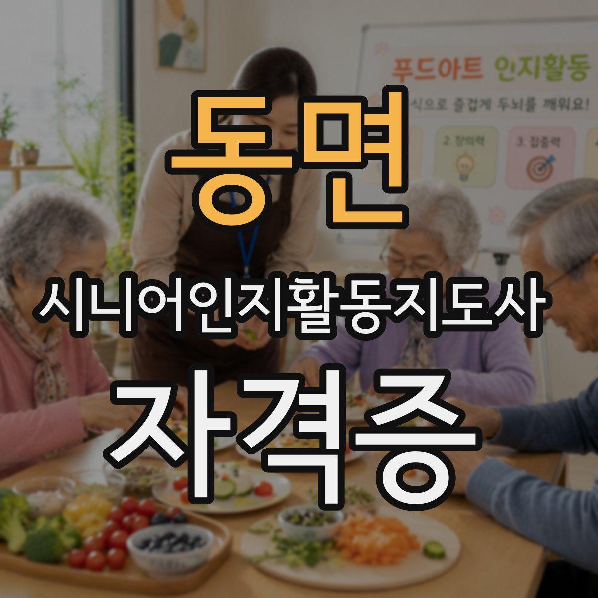동면 시니어인지활동지도사 자격증