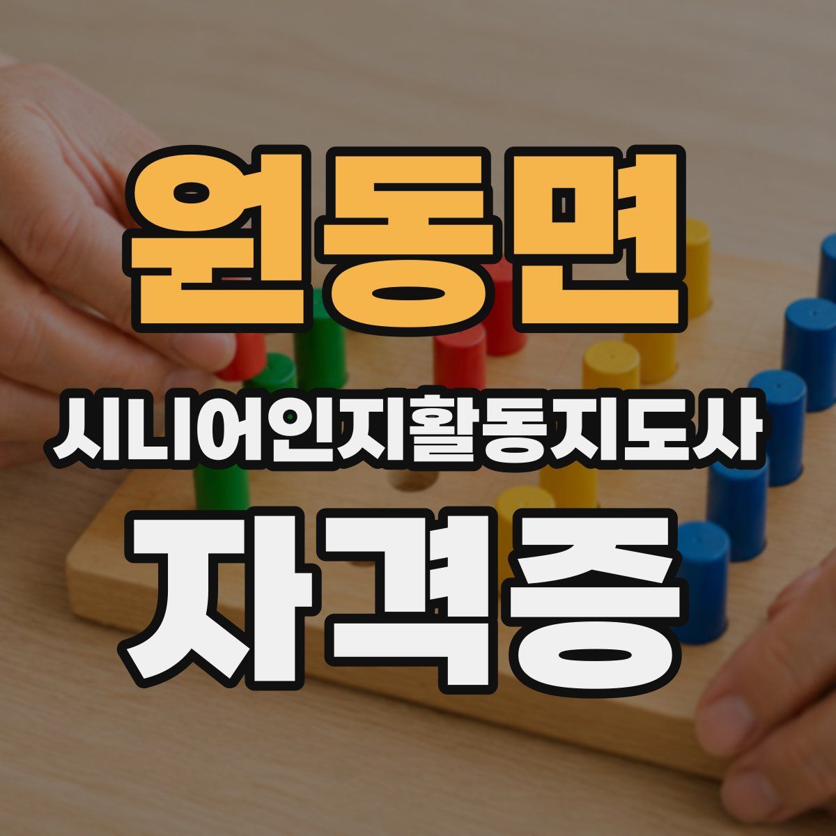원동면 시니어인지활동지도사 자격증