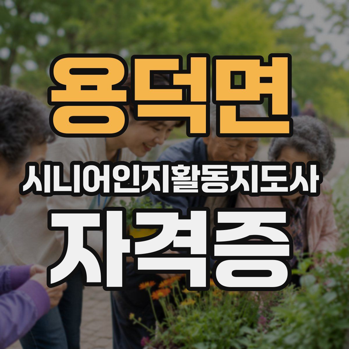 용덕면 시니어인지활동지도사 자격증