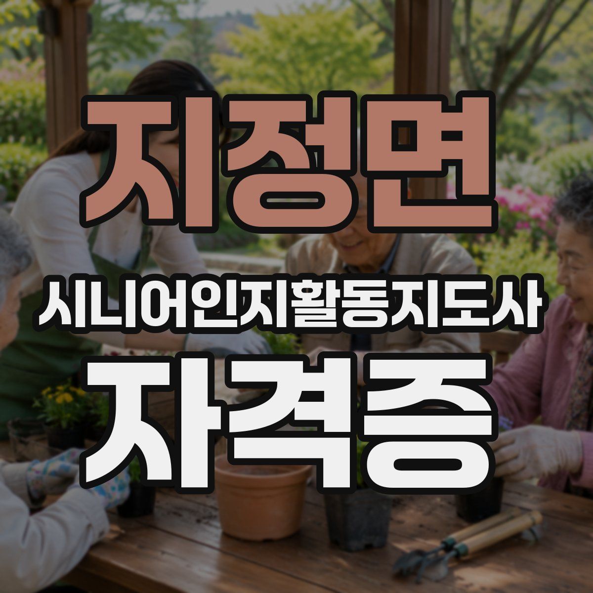 지정면 시니어인지활동지도사 자격증