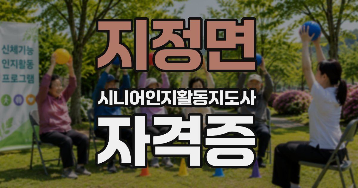 지정면 시니어인지활동지도사 자격증