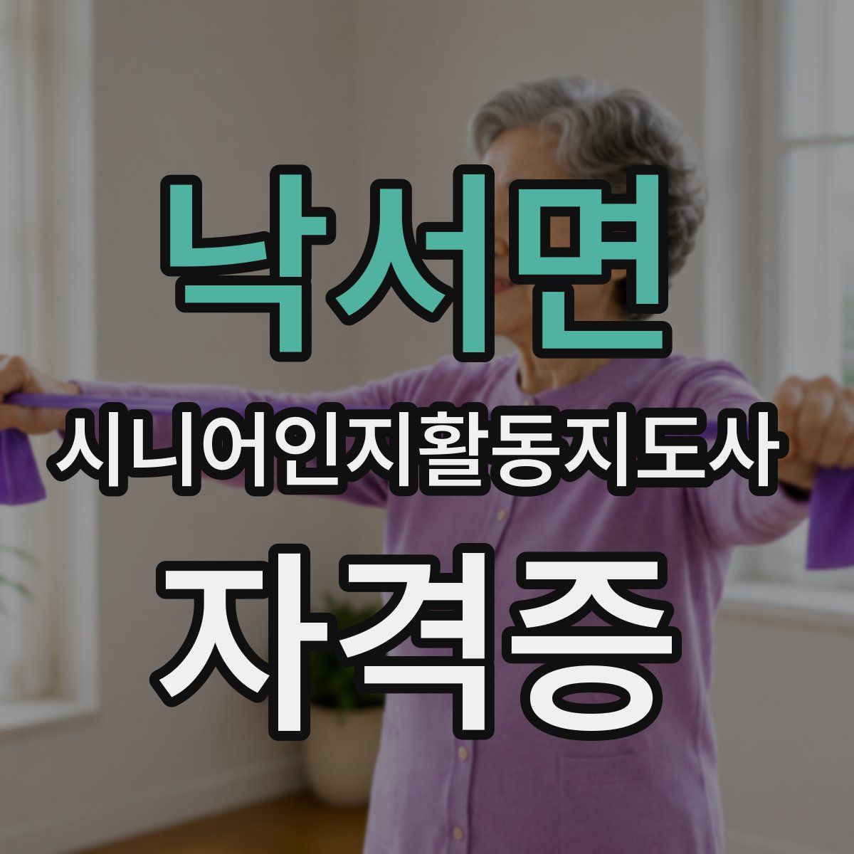 낙서면 시니어인지활동지도사 자격증