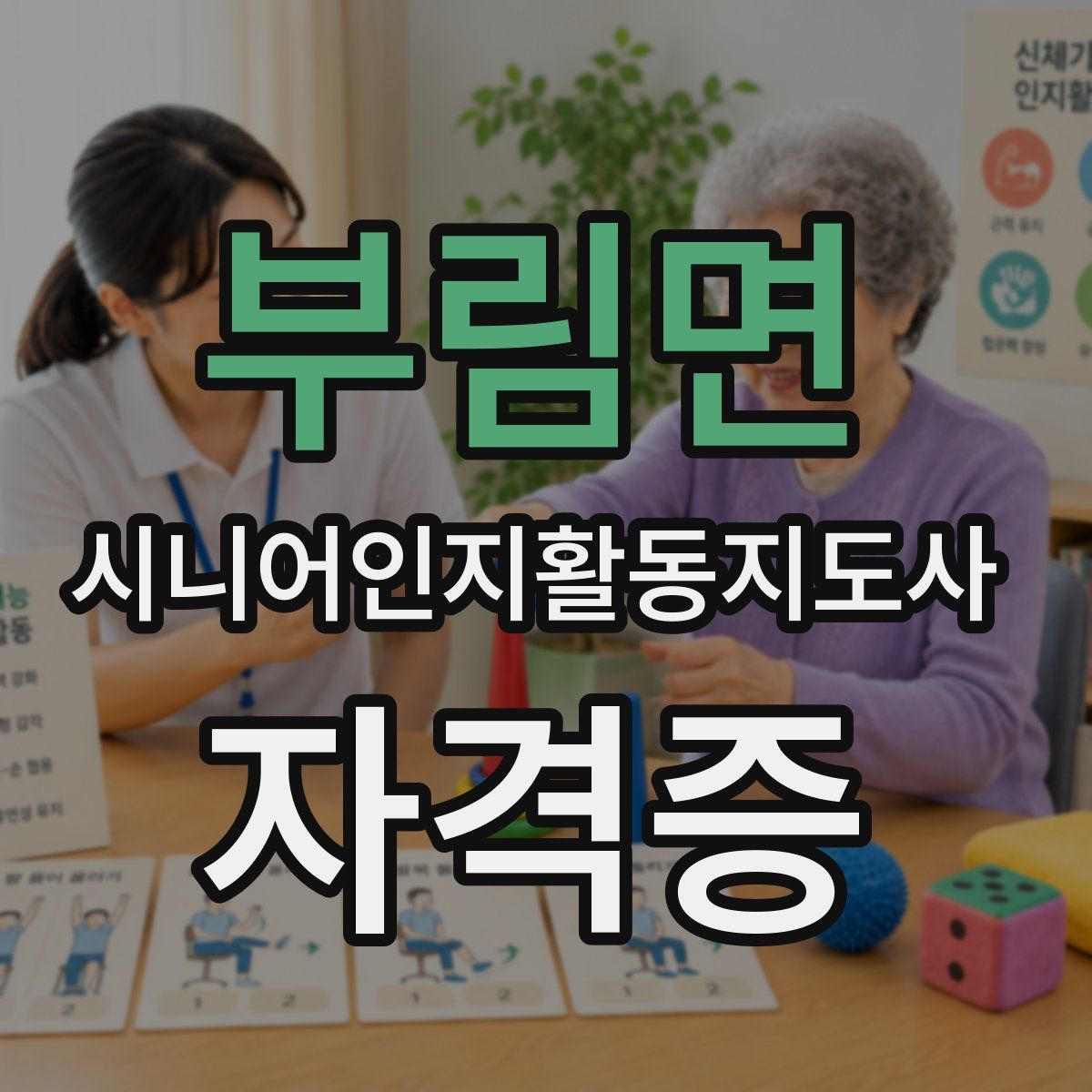 부림면 시니어인지활동지도사 자격증