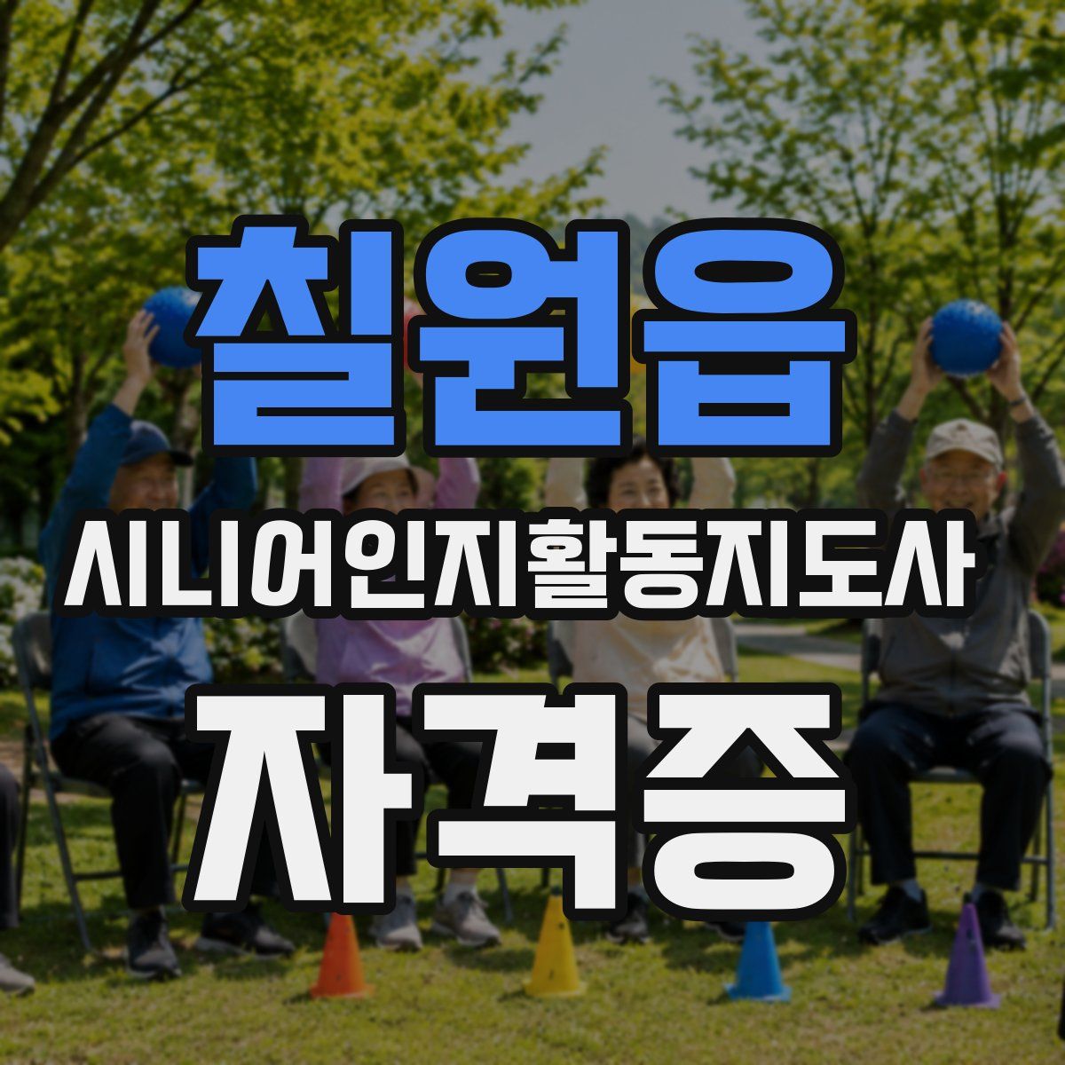 칠원읍 시니어인지활동지도사 자격증