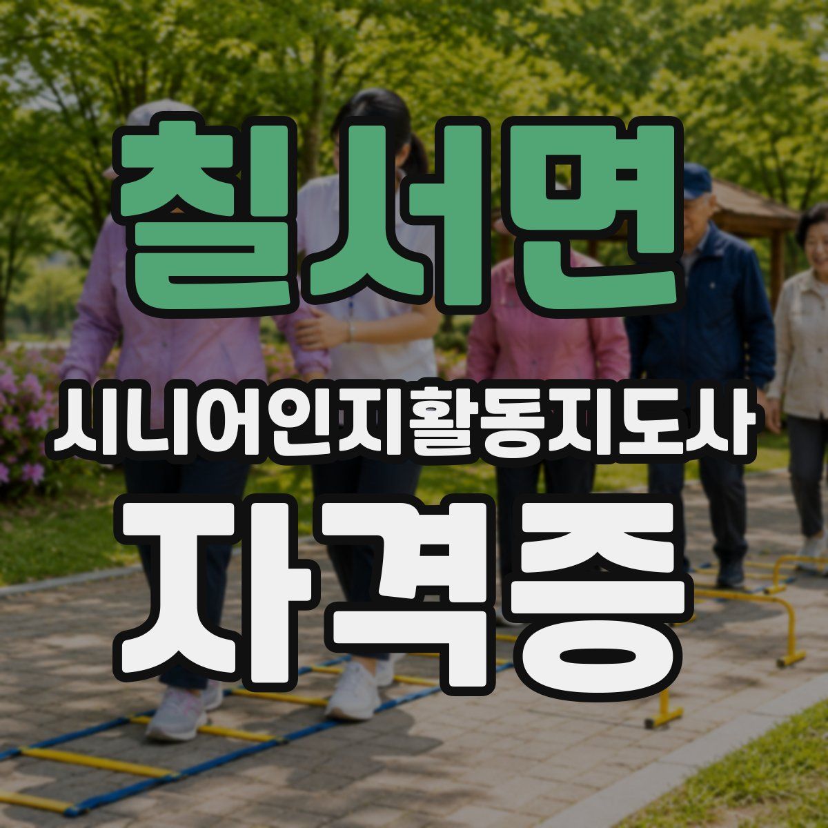 칠서면 시니어인지활동지도사 자격증