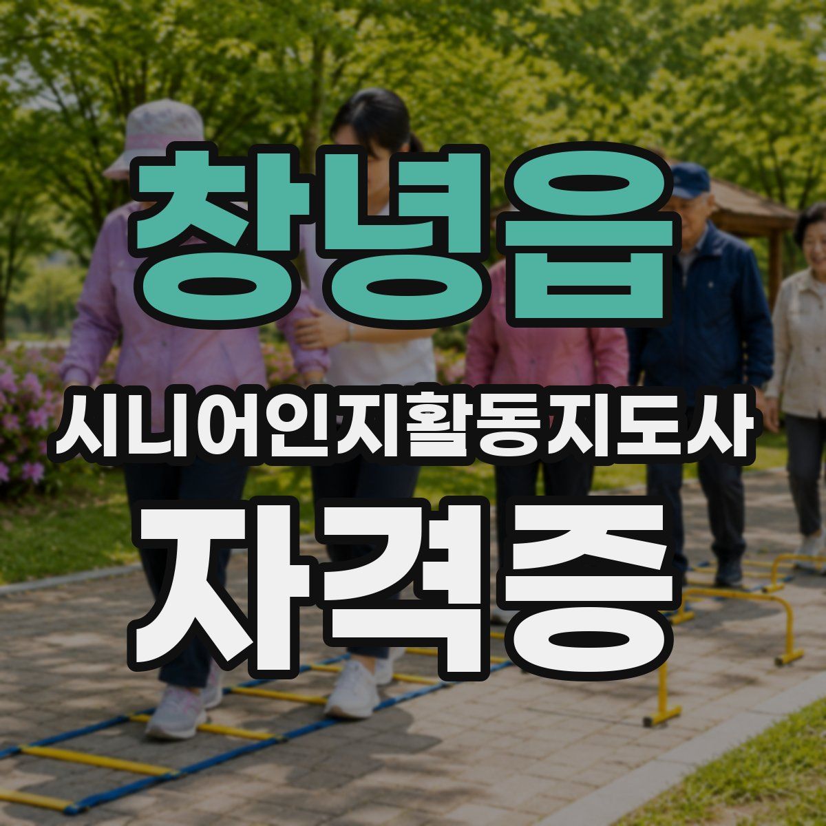 창녕읍 시니어인지활동지도사 자격증