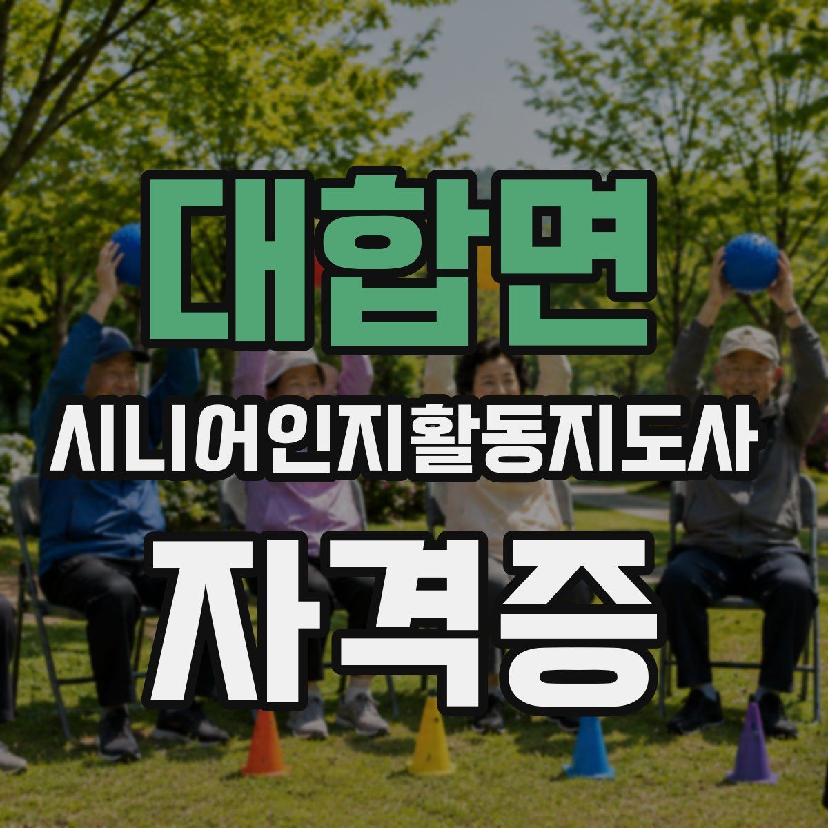 대합면 시니어인지활동지도사 자격증