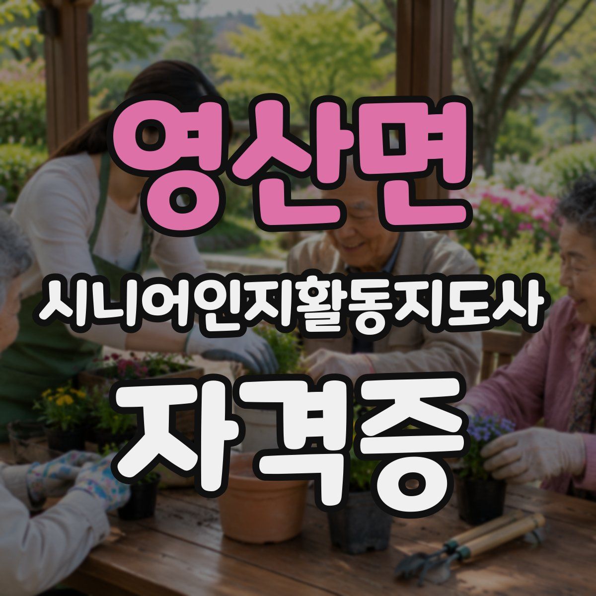 영산면 시니어인지활동지도사 자격증