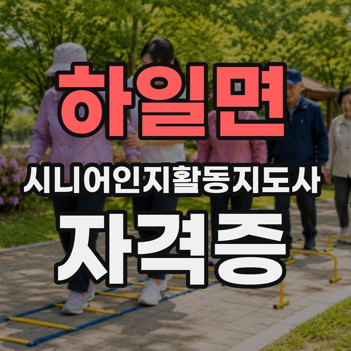 하일면 시니어인지활동지도사 자격증