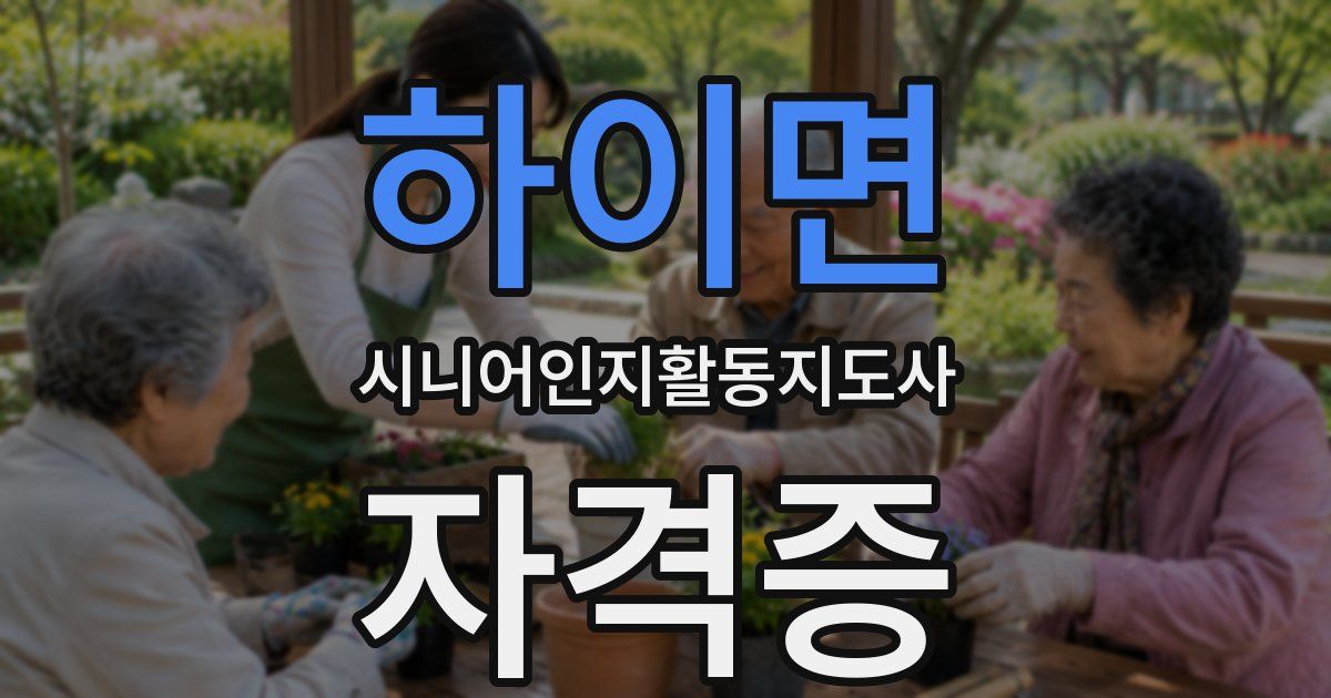 하이면 시니어인지활동지도사 자격증