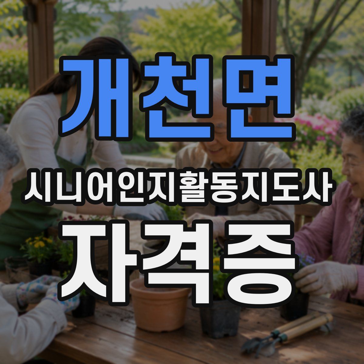 개천면 시니어인지활동지도사 자격증