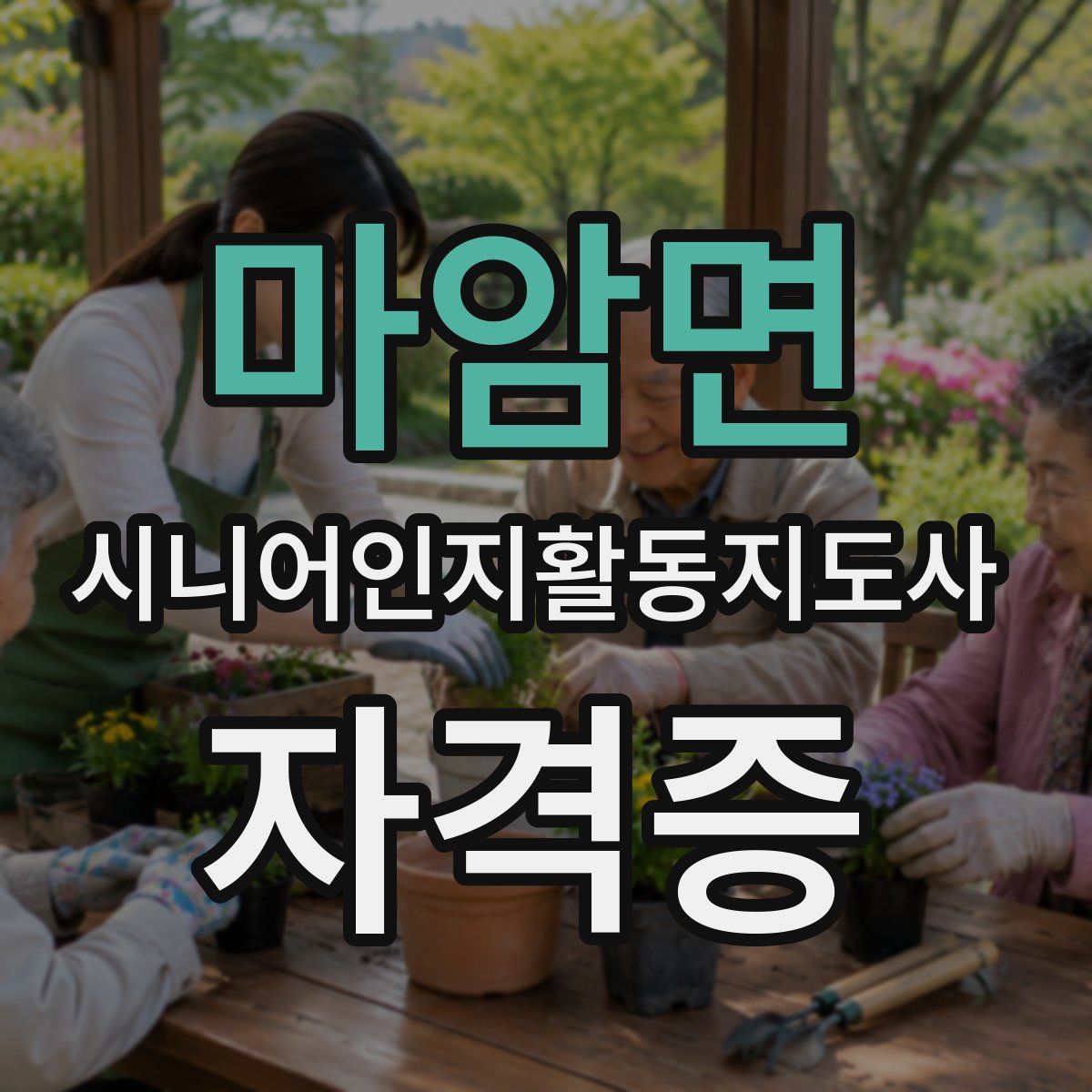 마암면 시니어인지활동지도사 자격증