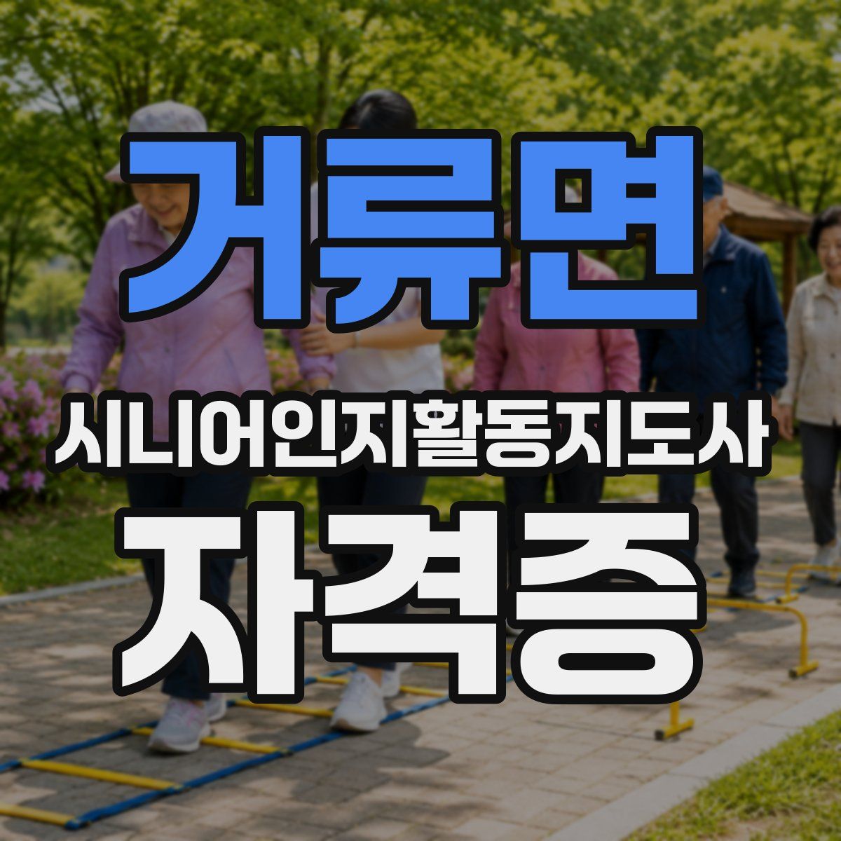 거류면 시니어인지활동지도사 자격증