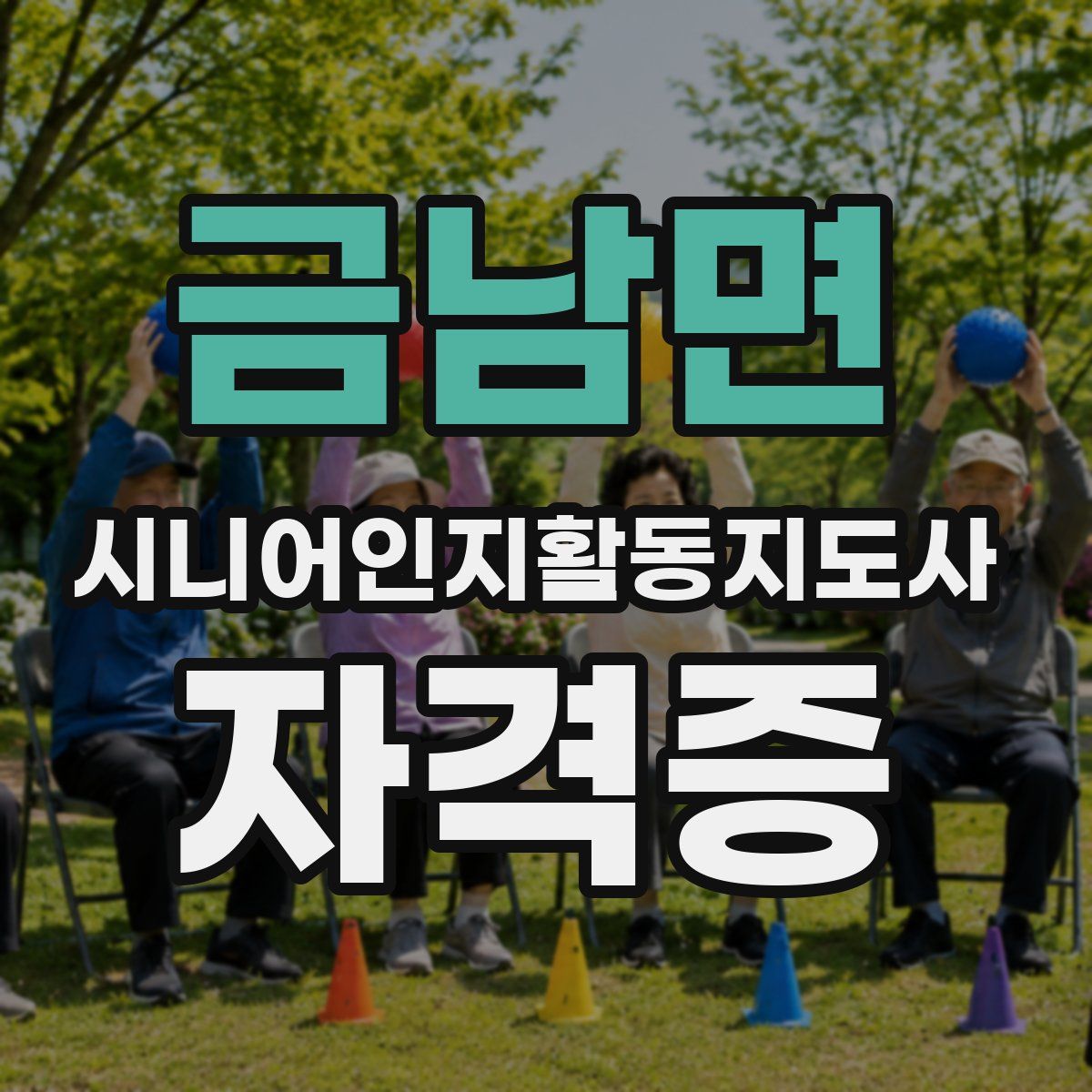 금남면 시니어인지활동지도사 자격증