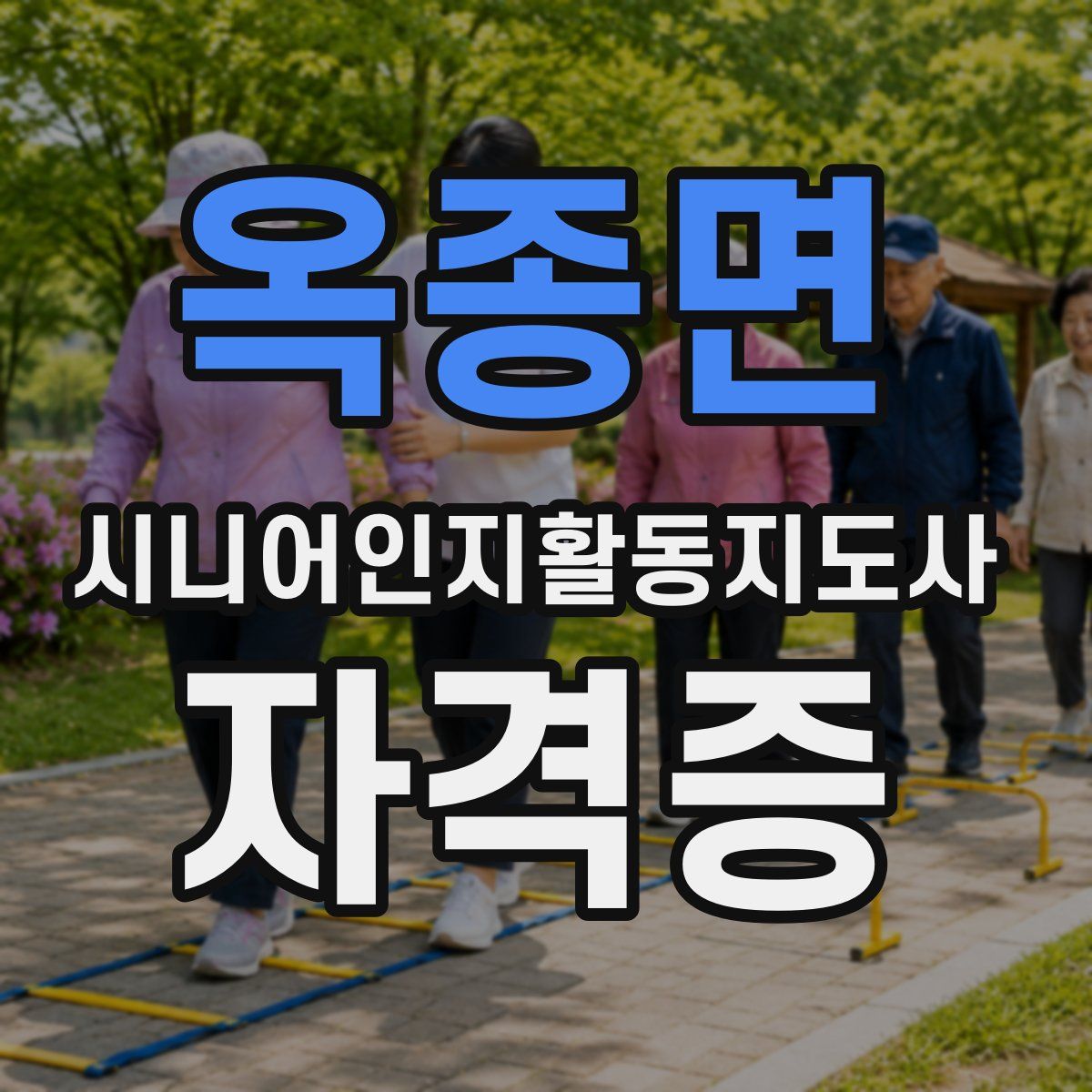 옥종면 시니어인지활동지도사 자격증
