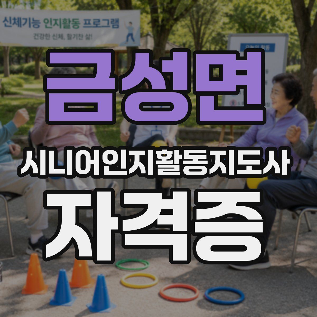 금성면 시니어인지활동지도사 자격증