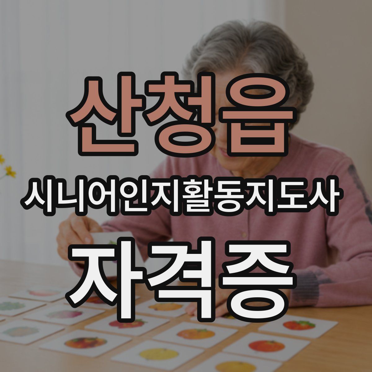 산청읍 시니어인지활동지도사 자격증