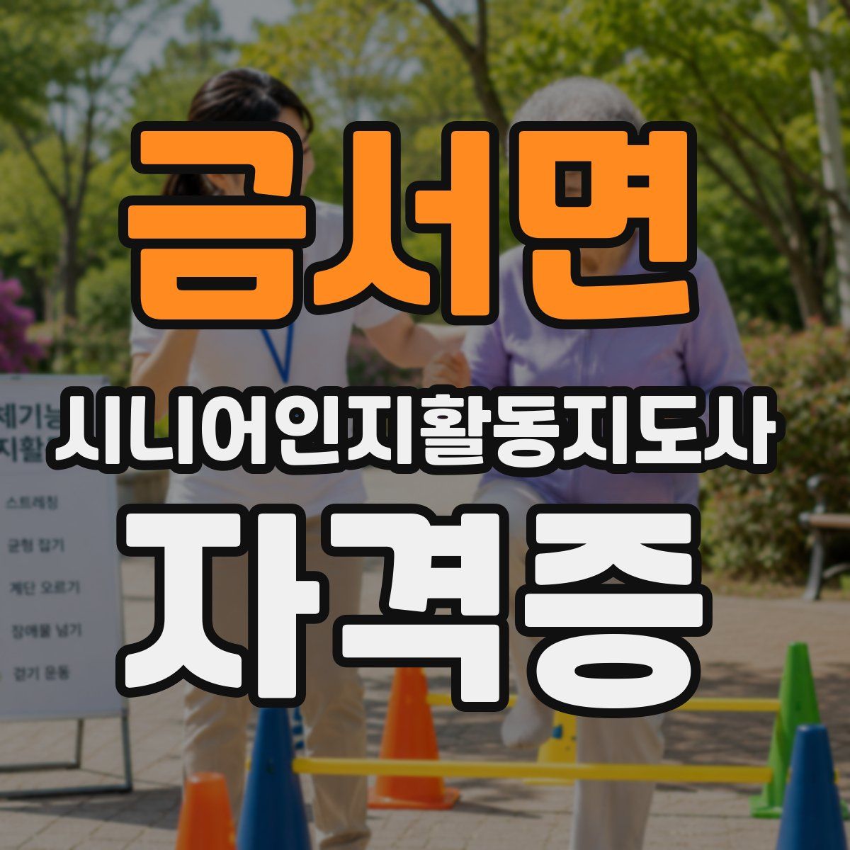 금서면 시니어인지활동지도사 자격증