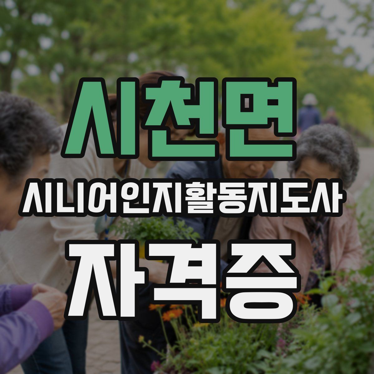 시천면 시니어인지활동지도사 자격증