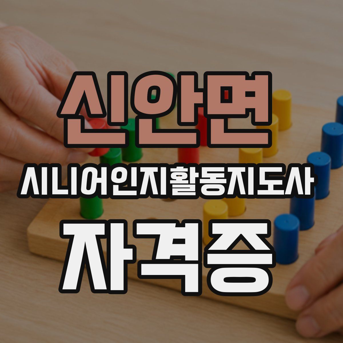 신안면 시니어인지활동지도사 자격증