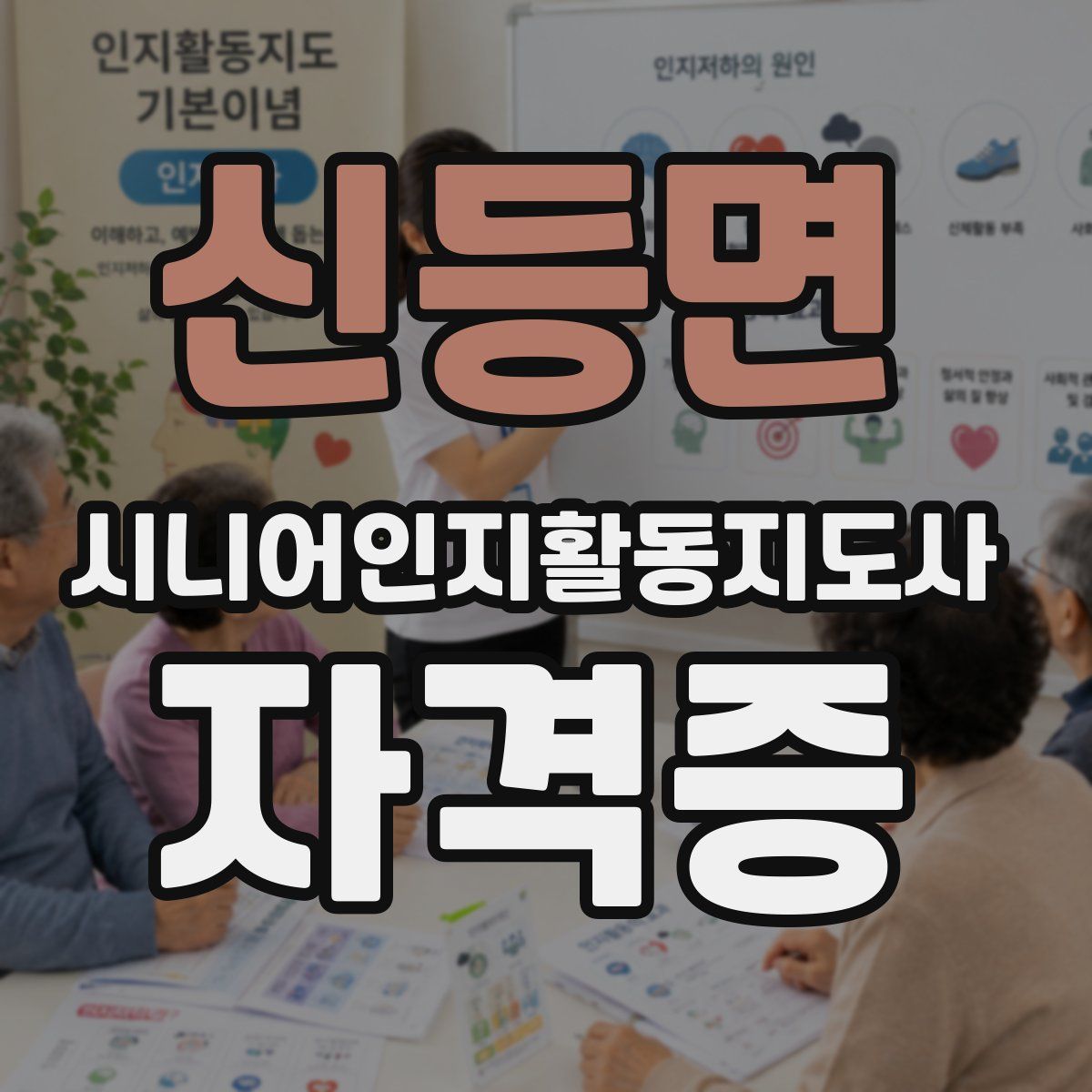 신등면 시니어인지활동지도사 자격증