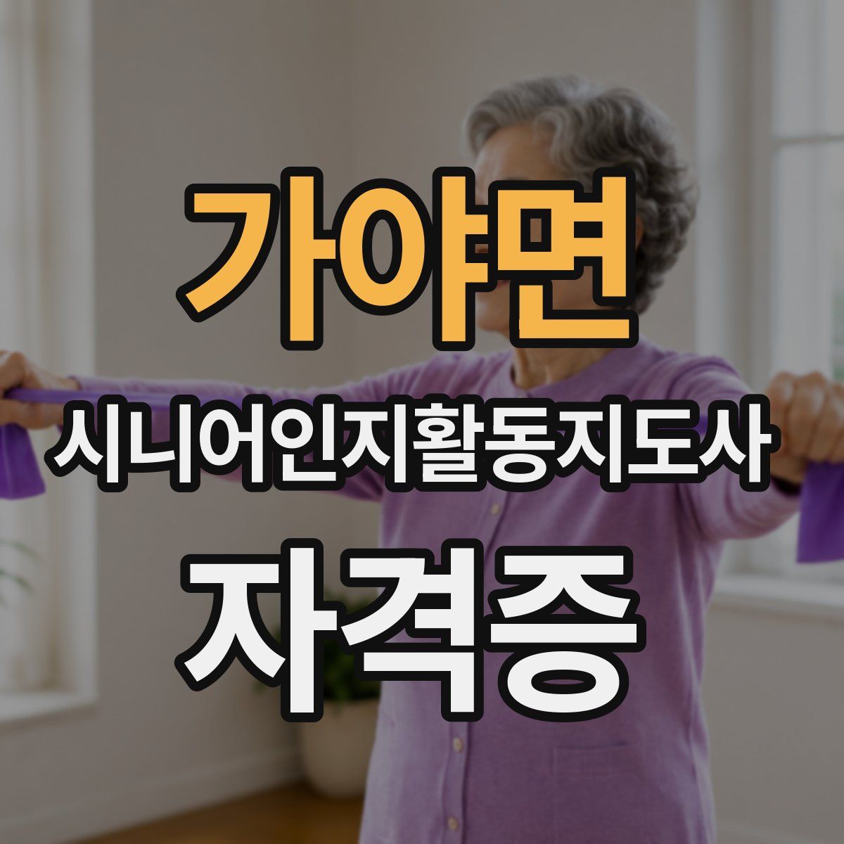 가야면 시니어인지활동지도사 자격증