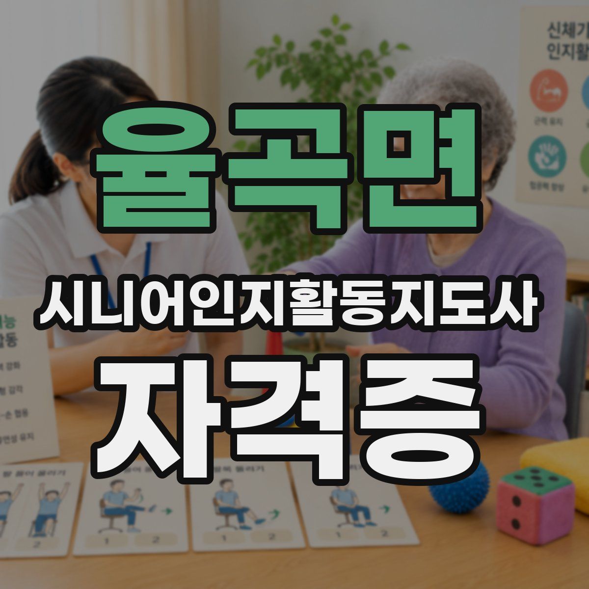 율곡면 시니어인지활동지도사 자격증