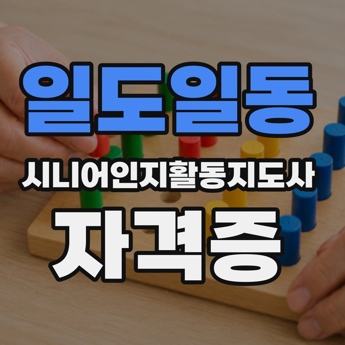 일도일동 시니어인지활동지도사 자격증