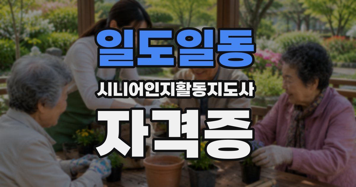 일도일동 시니어인지활동지도사 자격증