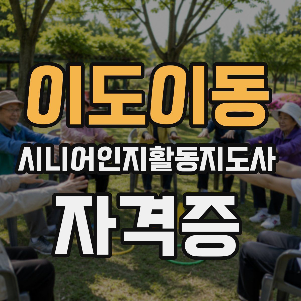 이도이동 시니어인지활동지도사 자격증