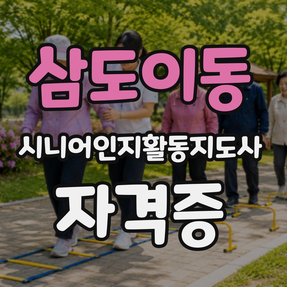 삼도이동 시니어인지활동지도사 자격증