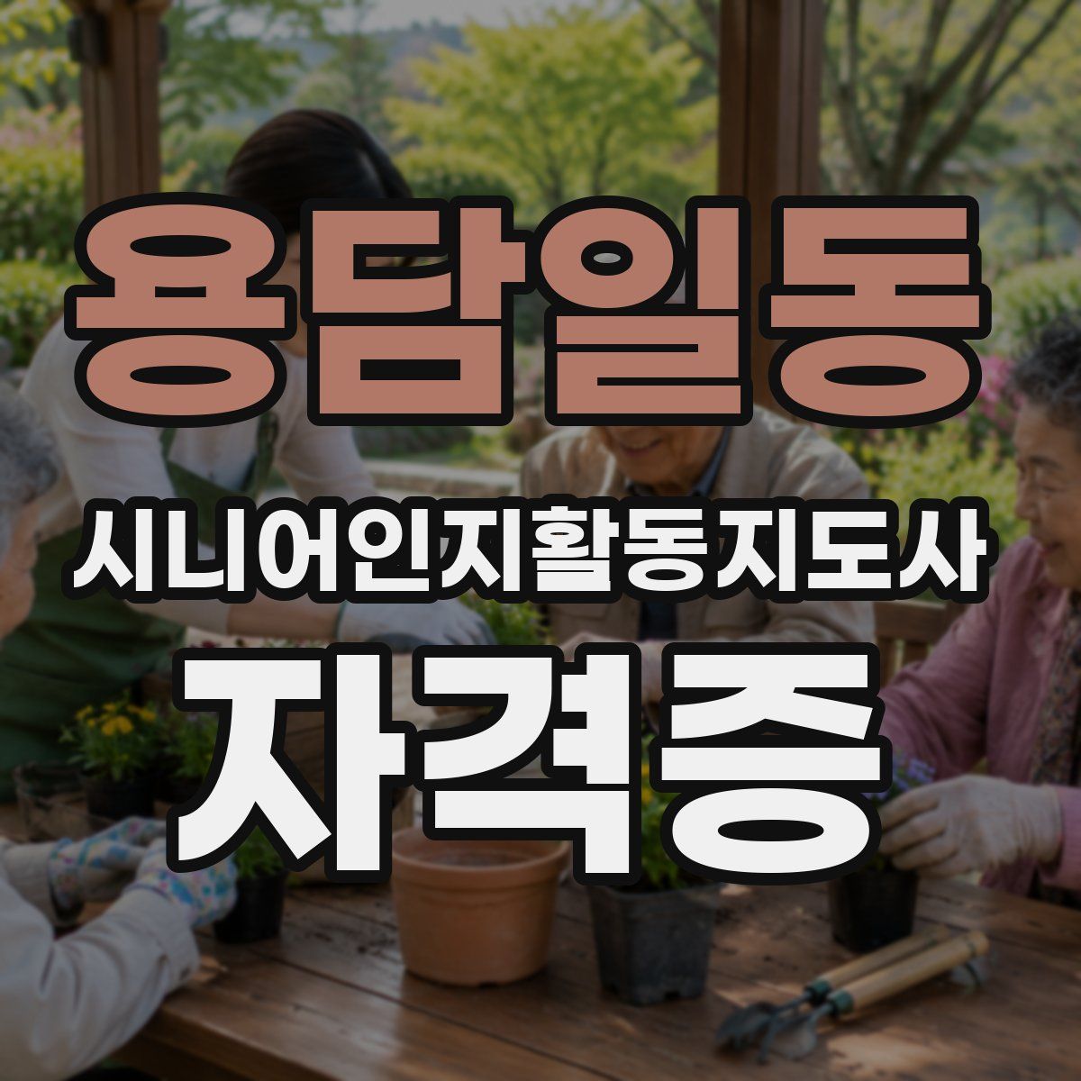 용담일동 시니어인지활동지도사 자격증