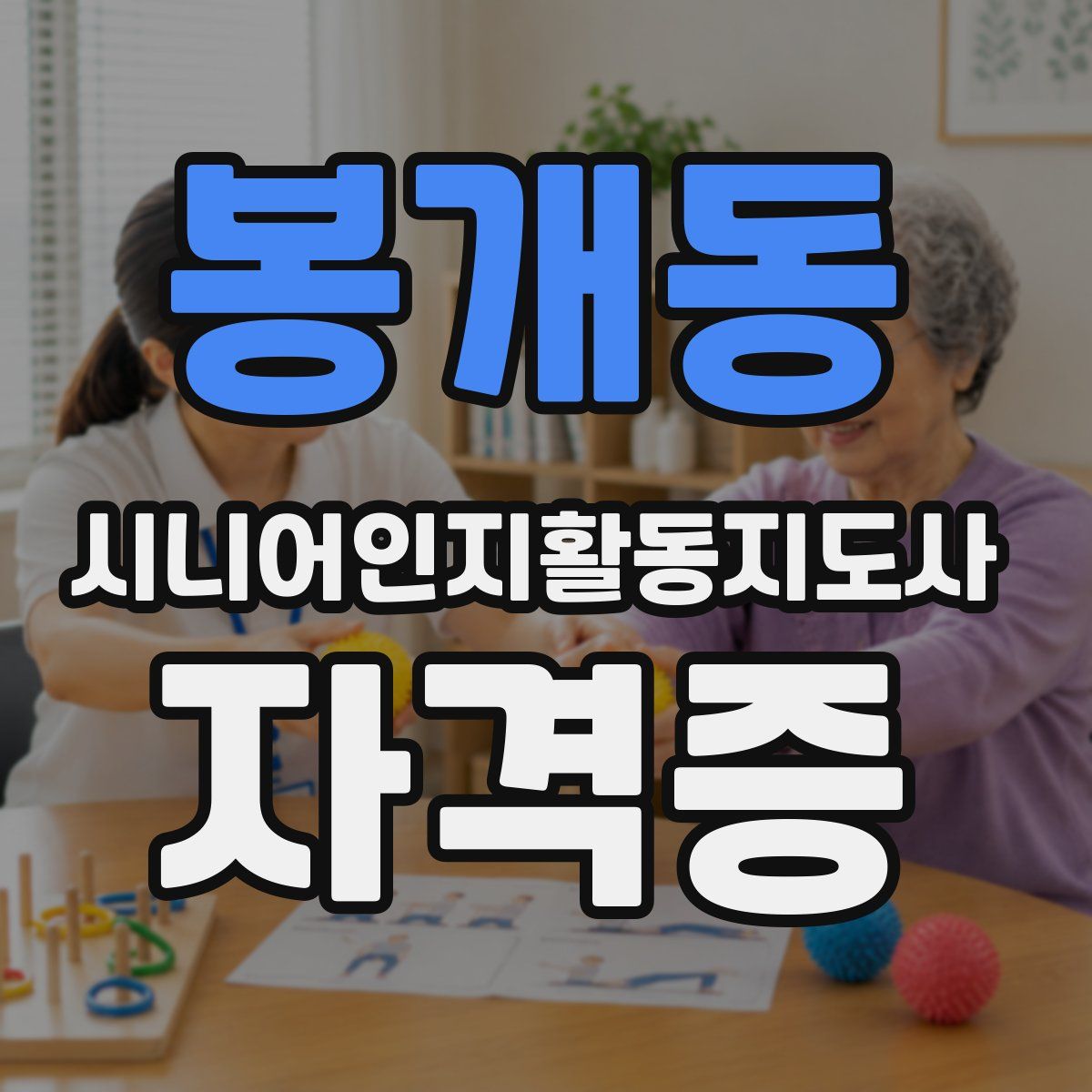 봉개동 시니어인지활동지도사 자격증