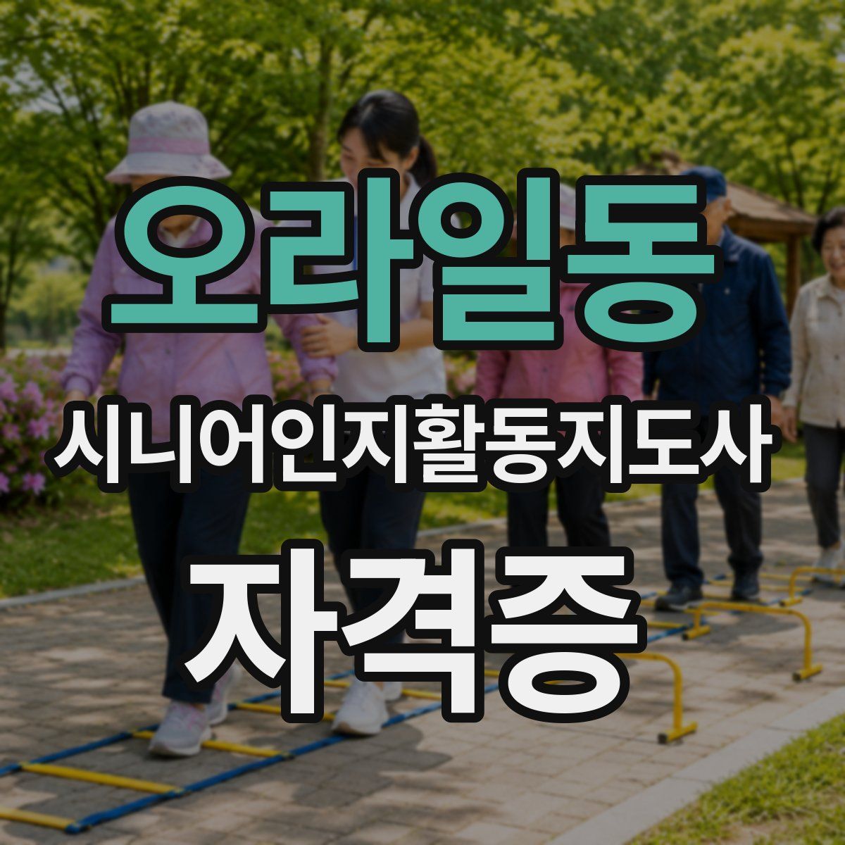 오라일동 시니어인지활동지도사 자격증
