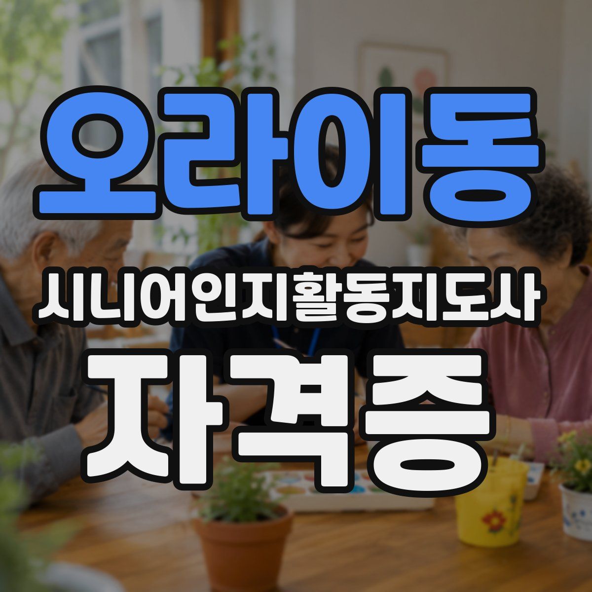 오라이동 시니어인지활동지도사 자격증