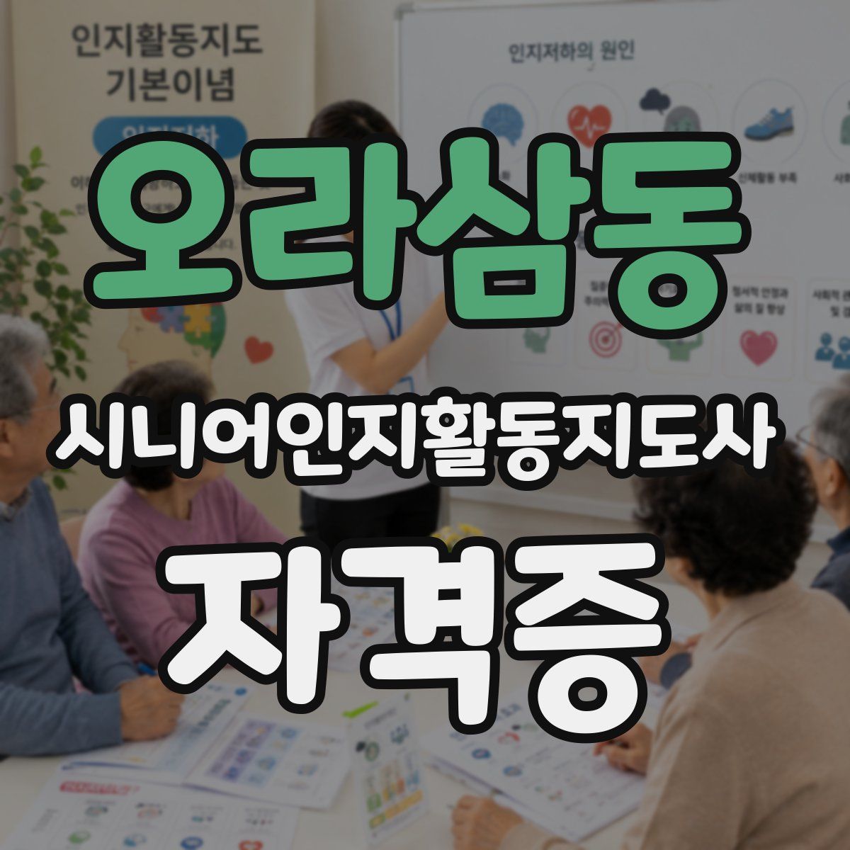 오라삼동 시니어인지활동지도사 자격증