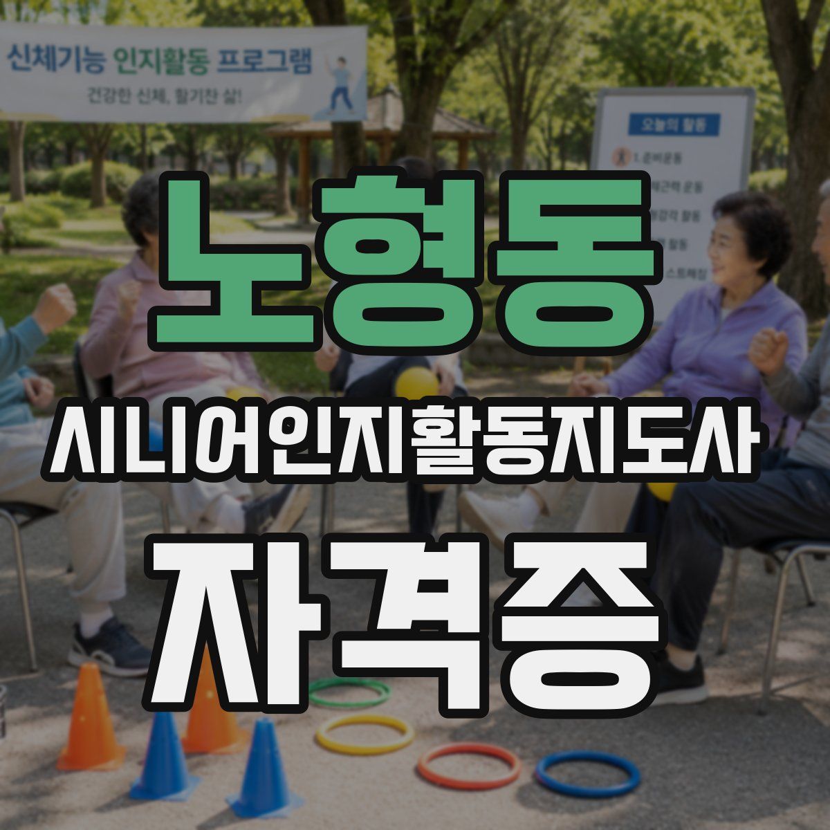 노형동 시니어인지활동지도사 자격증