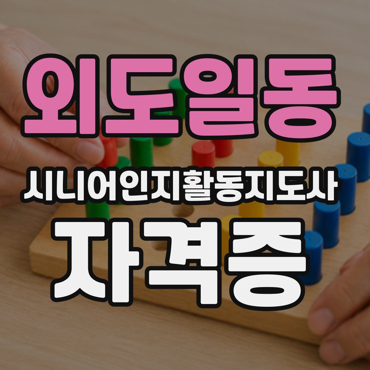 외도일동 시니어인지활동지도사 자격증