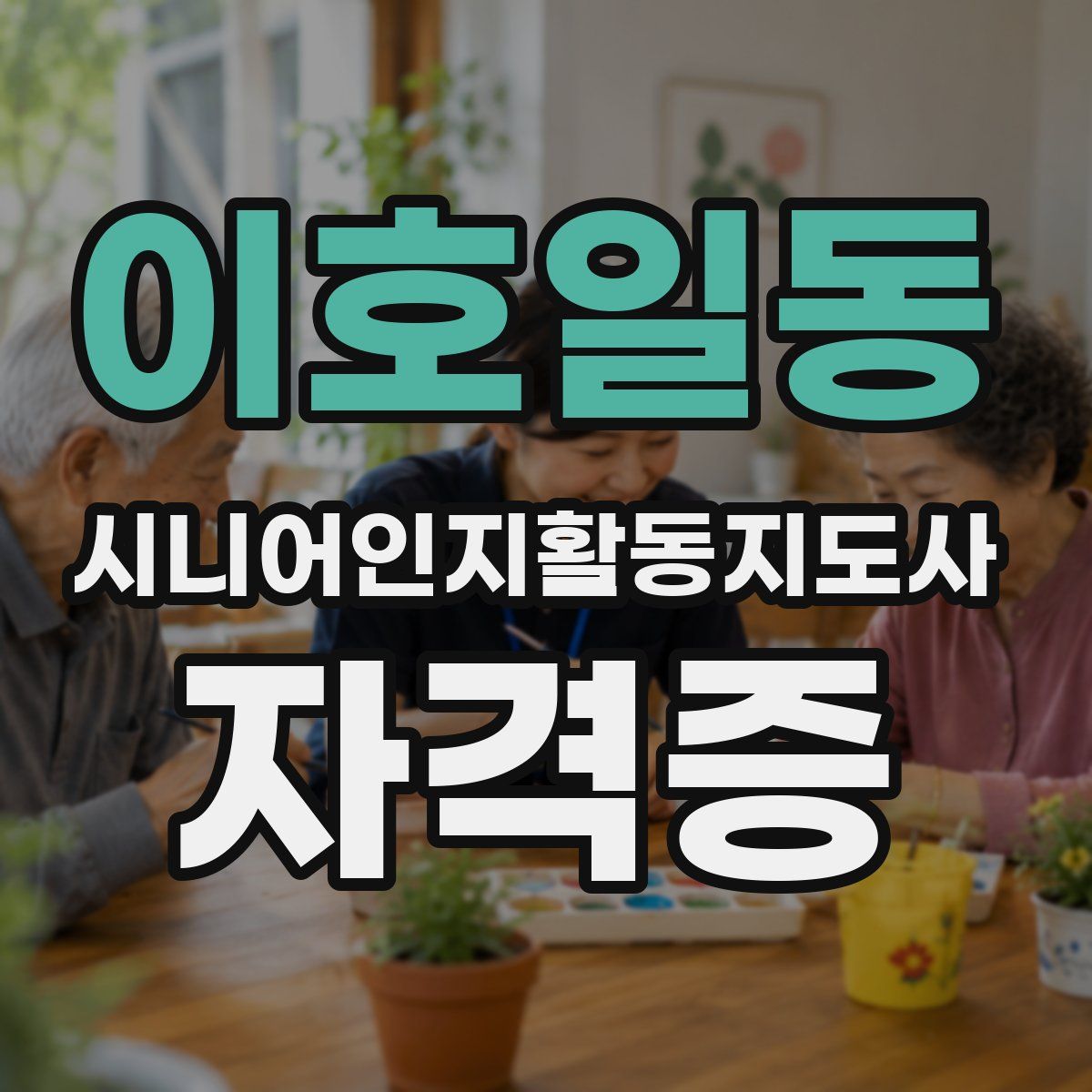 이호일동 시니어인지활동지도사 자격증