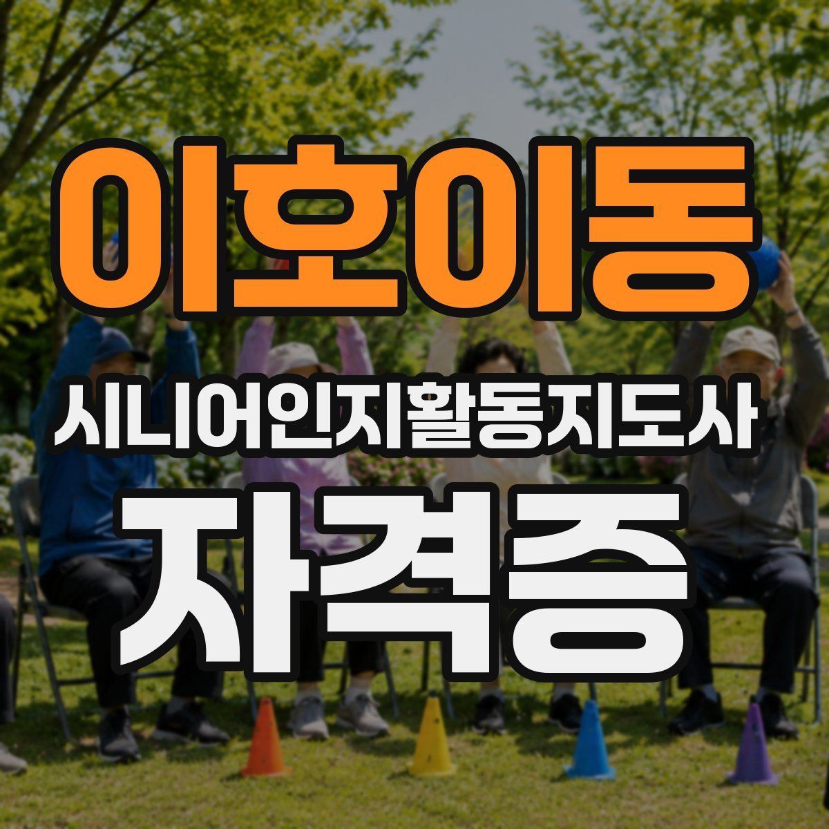 이호이동 시니어인지활동지도사 자격증